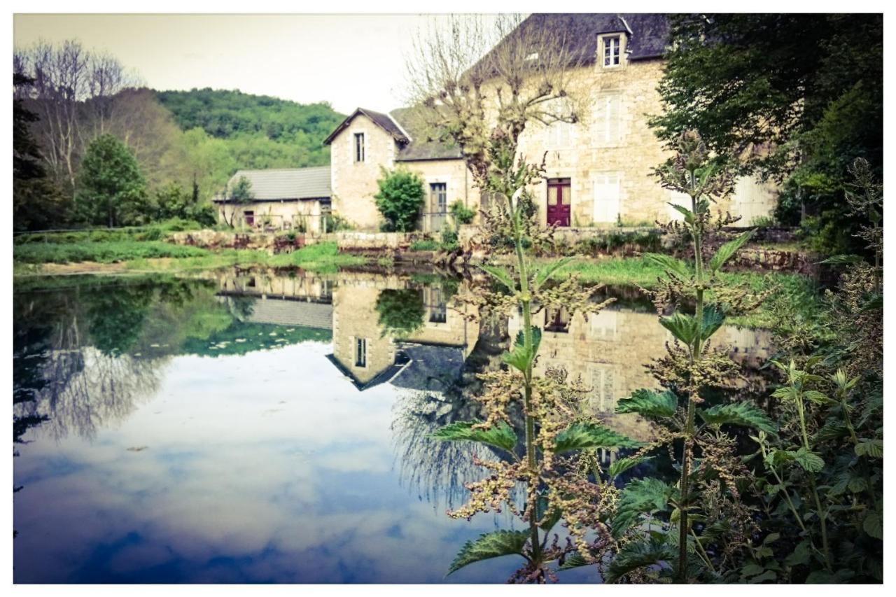 Saint-Amand-de-Coly O Reve De Gabriel B&B 외부 사진