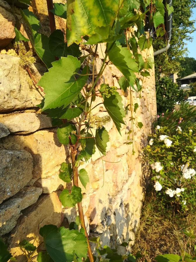 Saint-Amand-de-Coly O Reve De Gabriel B&B 외부 사진