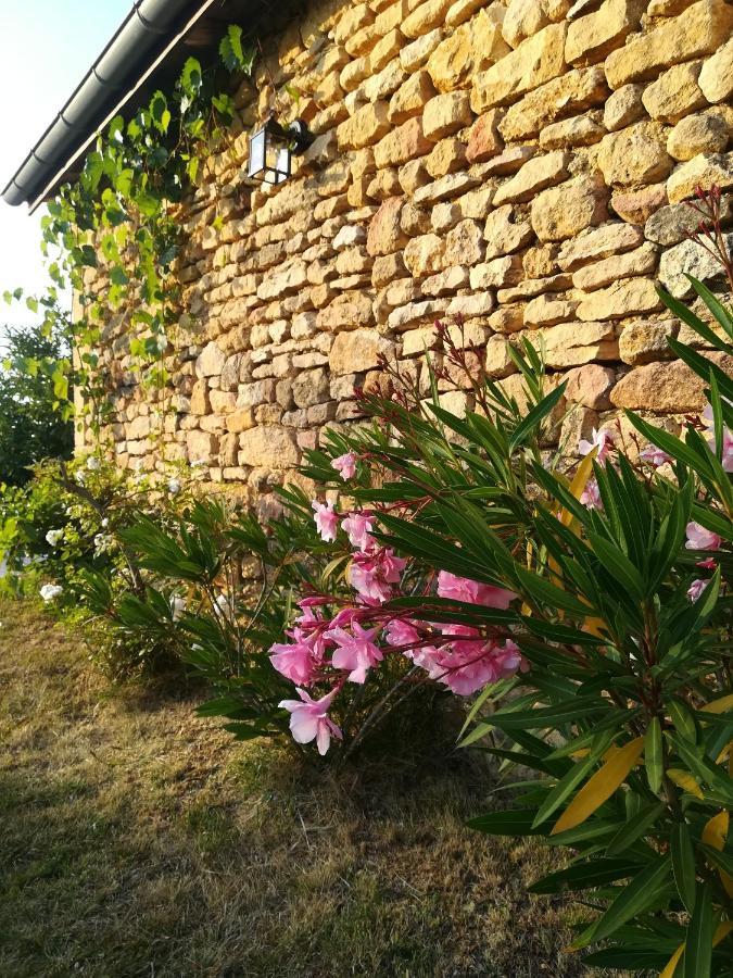 Saint-Amand-de-Coly O Reve De Gabriel B&B 외부 사진