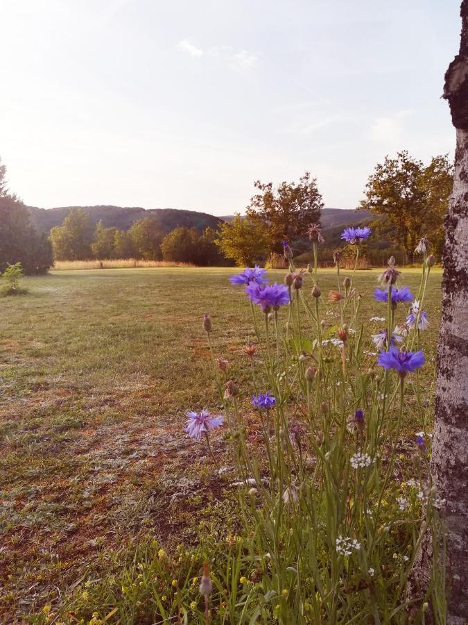 Saint-Amand-de-Coly O Reve De Gabriel B&B 외부 사진