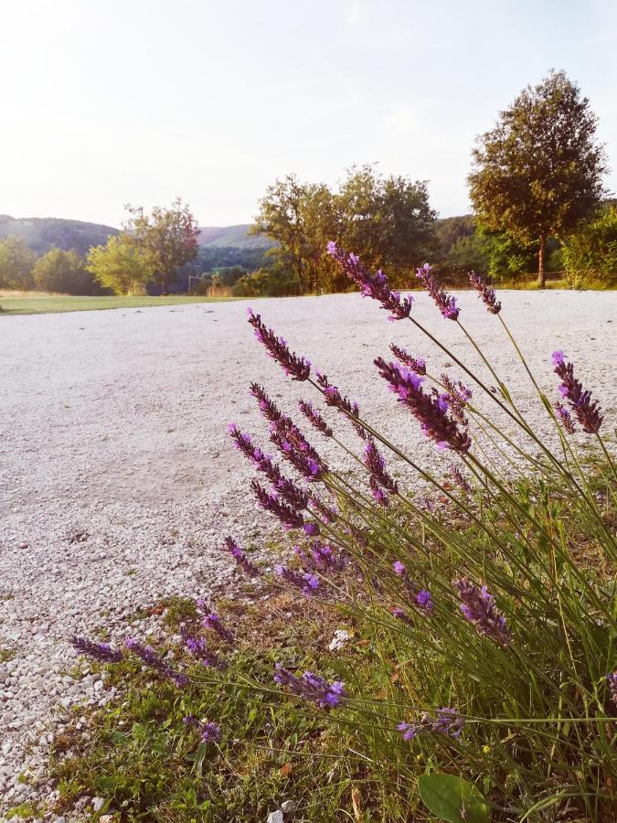Saint-Amand-de-Coly O Reve De Gabriel B&B 외부 사진